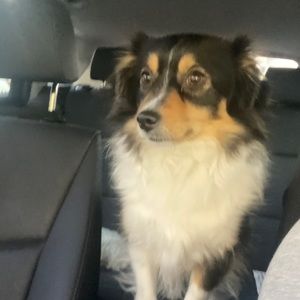 Meet your Posher, Malory